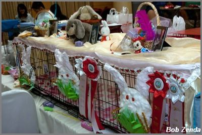 Decorated cages